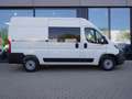 Fiat Ducato L2H2 / Multicab 7-Sitzer / 10-Zoll-Navi Blanco - thumbnail 3