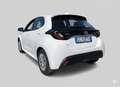 Toyota Yaris TOYOTA YARIS 1.5 Hybrid Business MY20 Blanc - thumbnail 4