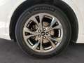Ford Kuga 1.5 EcoBlue ST-Line FWD 120 Aut. Blanco - thumbnail 9