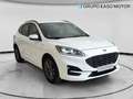 Ford Kuga 1.5 EcoBlue ST-Line FWD 120 Aut. Blanco - thumbnail 7