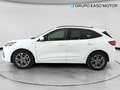 Ford Kuga 1.5 EcoBlue ST-Line FWD 120 Aut. Blanco - thumbnail 2