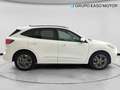 Ford Kuga 1.5 EcoBlue ST-Line FWD 120 Aut. Blanco - thumbnail 6