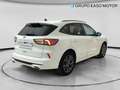 Ford Kuga 1.5 EcoBlue ST-Line FWD 120 Aut. Blanco - thumbnail 5