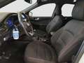 Ford Kuga 1.5 EcoBlue ST-Line FWD 120 Aut. Blanco - thumbnail 10