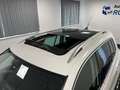 Volkswagen Tiguan 2.0 TSI 4M DSG R-Line Pano GEWERBE EXPORT White - thumbnail 21