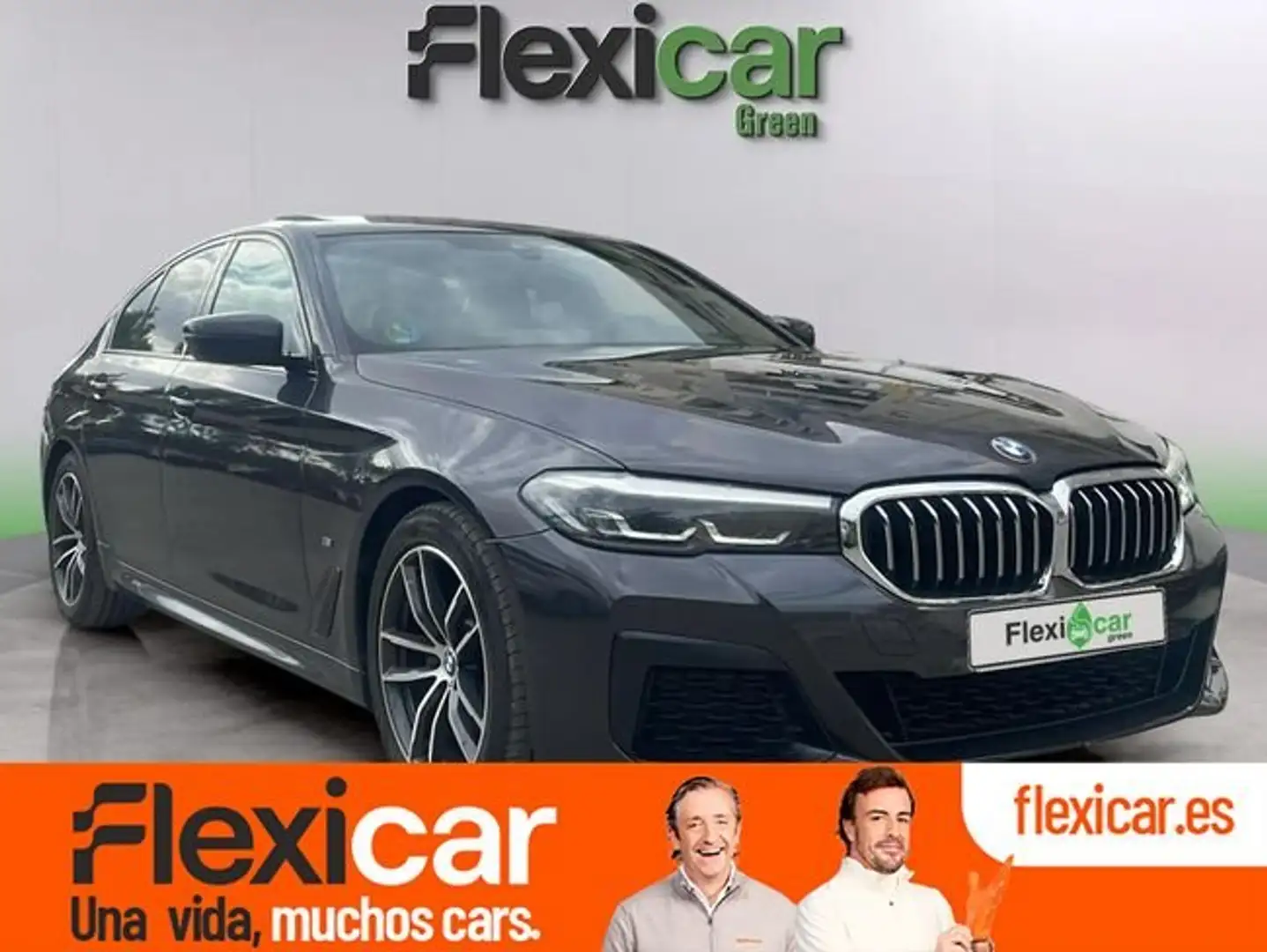 BMW 520 520dA Gris - 1