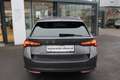 Skoda Octavia Selection TDI DSG Grau - thumbnail 4