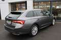 Skoda Octavia Selection TDI DSG Grau - thumbnail 5