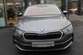 Skoda Octavia Selection TDI DSG Grau - thumbnail 2