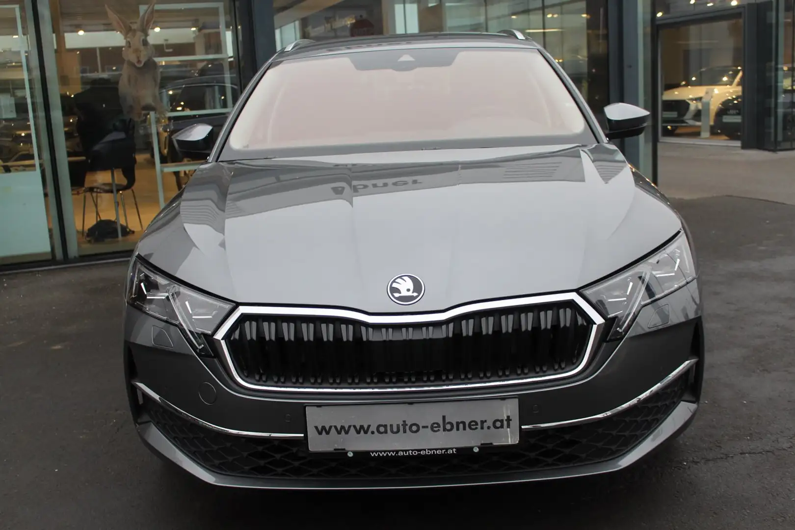 Skoda Octavia Selection TDI DSG Grau - 2