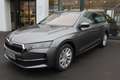 Skoda Octavia Selection TDI DSG Grau - thumbnail 1