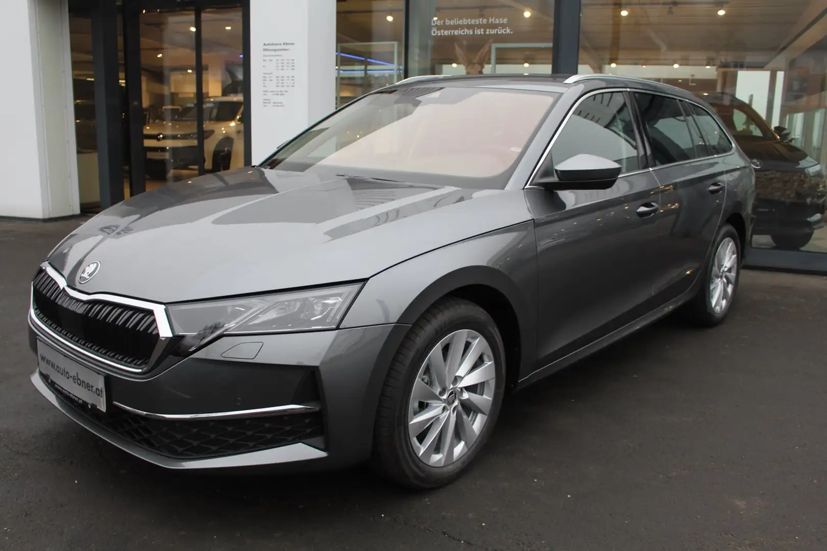 Skoda Octavia Selection TDI DSG Grau - 1