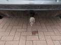 Ford Kuga 1.5 EcoBoost ST-Line AHK Navi Winterp. PDC Gris - thumbnail 9