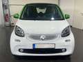 smart forTwo coupe EQ Automatik **Navi*Panorama*Temp** Weiß - thumbnail 9