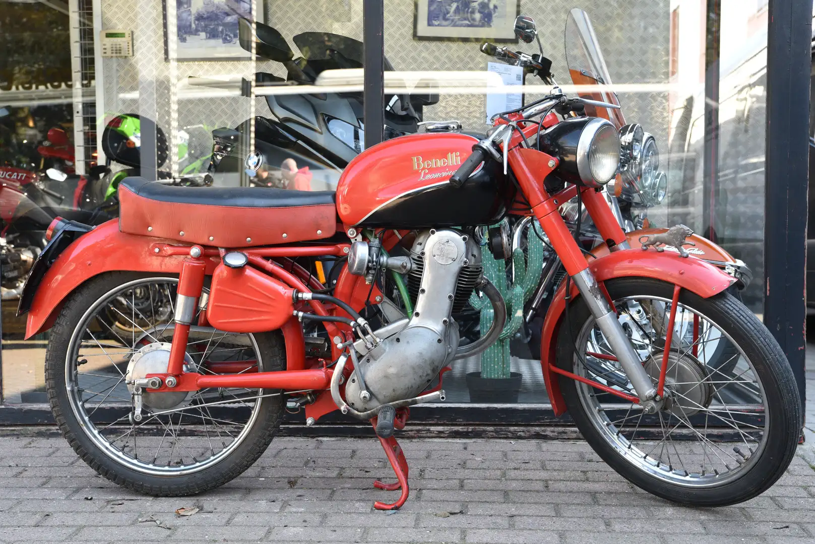 Benelli Leoncino 125 ***MOTO VERTE*** Rosso - 2
