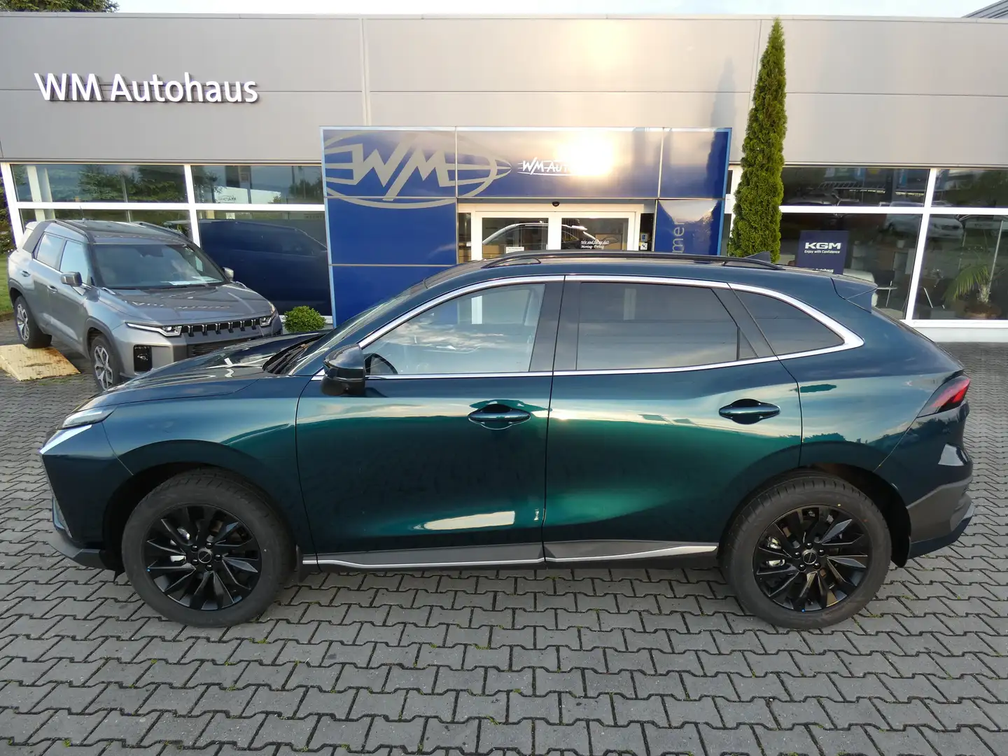 DFM Forthing 5 Exclusive 1,5T Automatik, Leder, Alu19", 360° Grün - 2