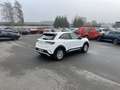 Opel Mokka-E Edition 85€ m. 20% Anzahlung CCS 3-Phasen DAB Kl Weiß - thumbnail 6