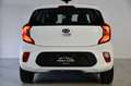 Kia Picanto 1.0 CVVT ComfortLine Blanc - thumbnail 15