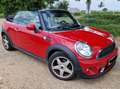 MINI Cooper Cabrio MINI CABRIO Rot - thumbnail 13