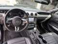 Ford Mustang 5,0 Ti-VCT V8 Bullitt Grün - thumbnail 6