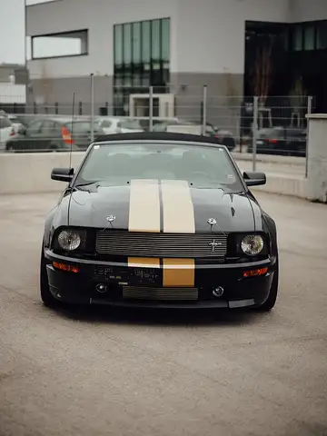 Ford Mustang Shelby 500 GT-H  "One Off" Ansicht 24