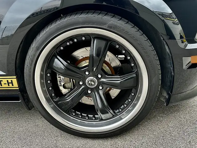 Ford Mustang Shelby 500 GT-H  "One Off" Ansicht 26