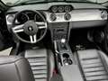Ford Mustang Shelby GT-H  "One Off" Schwarz - thumbnail 10