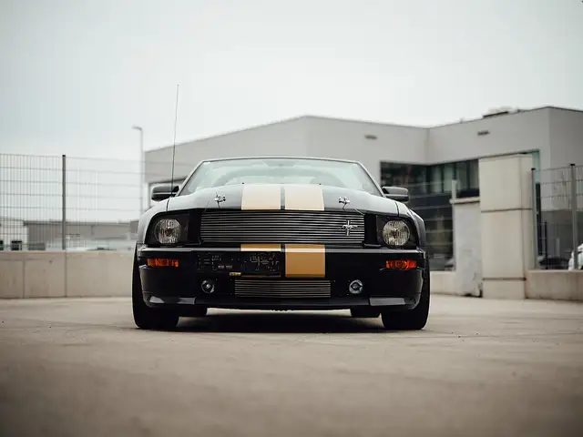 Ford Mustang Shelby 500 GT-H  "One Off" Ansicht 17