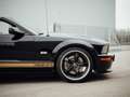 Ford Mustang Shelby GT-H  "One Off" Schwarz - thumbnail 6