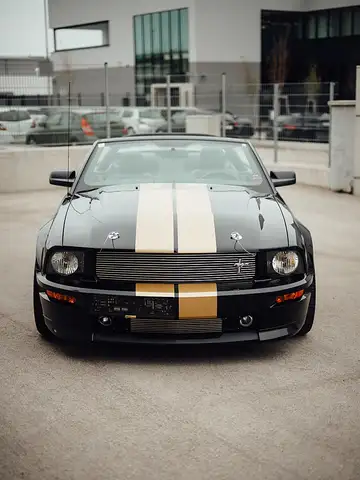 Ford Mustang Shelby 500 GT-H  "One Off" Ansicht 5