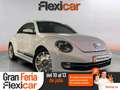 Volkswagen Beetle Cabrio Design 2.0 TDI 110CV BMT Blanc - thumbnail 1