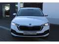 Skoda Octavia Combi Clever 1.5 TSI LED Sperrdiff. Apple CarPlay Weiß - thumbnail 6