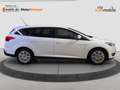 Ford Focus Turnier Business 1.Hand/Navi/SHZ/PDC/Bluet Weiß - thumbnail 6