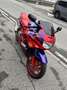 Honda CBR 600 f Rosso - thumbnail 5