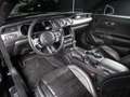 Ford Mustang Mustang GT 5.0 Ti-VCT V8 Fastback *PREMIUM2*SYNC3* Blau - thumbnail 10