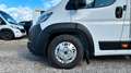 Fiat Ducato Pritsche Doka Maxi L3*KLIMA*CAM*LED*ACC Bianco - thumbnail 11