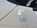 Fiat 500C FireFly Hybrid 70 Google Weiß - thumbnail 14