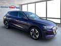 Audi e-tron e Basis quattro 1 Gang Automatik Klima Navi Mauve - thumbnail 2