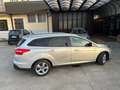 Ford Focus Focus SW 1.5 tdci Titanium X s Argento - thumbnail 7