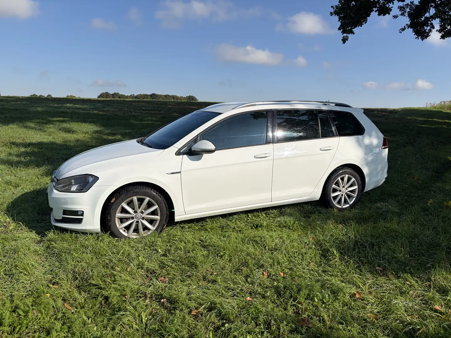 Volkswagen Golf Golf 1.6 TDI BlueMotion TechnologyLounge Bílá - 1