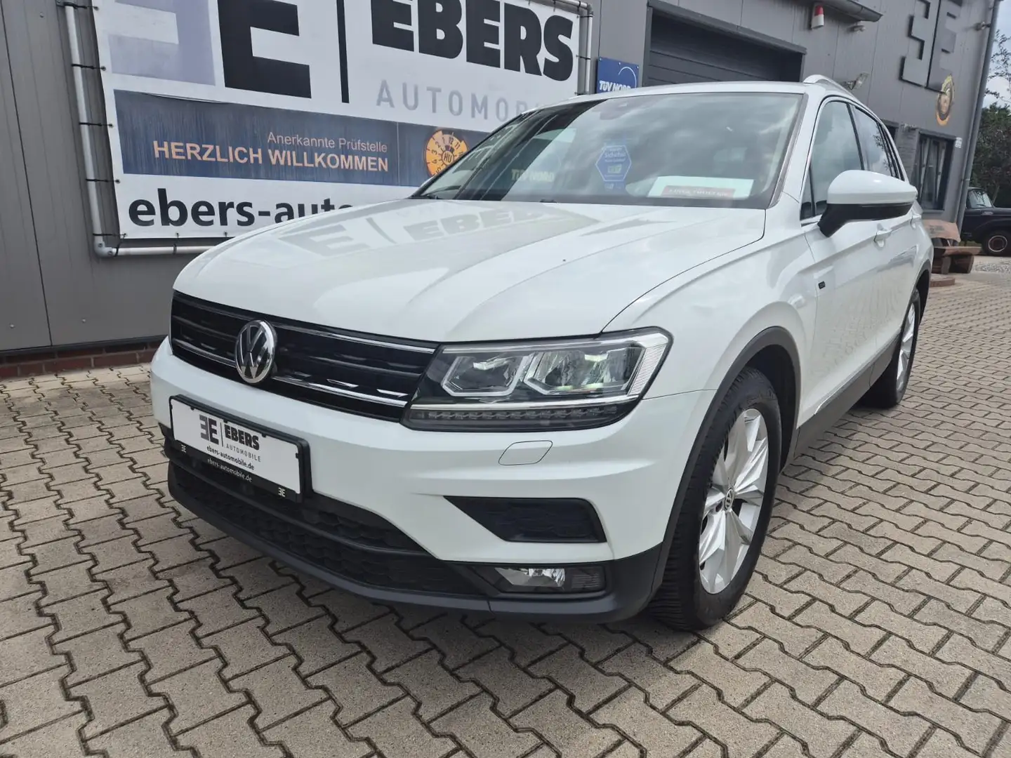 Volkswagen Tiguan 1.5 TSI Join 360°/PDC/LED/SZHG/ACC/GJ-REI Weiß - 1