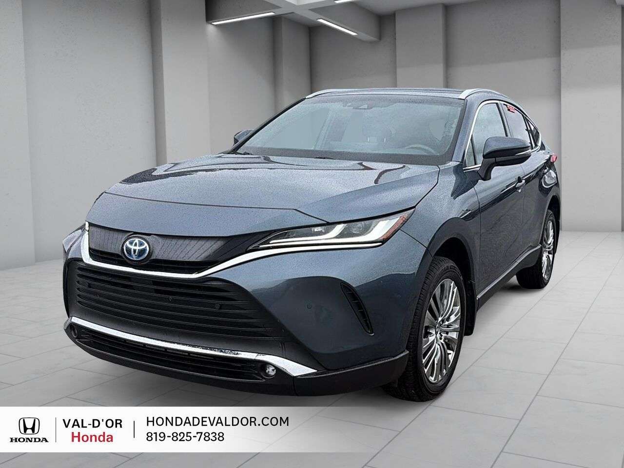 2024 Toyota Venza XLE AWD