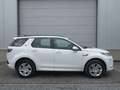 Land Rover Discovery Sport P200 Aut. AWD R-Dynamic S 5d 7pl /€13.800 netto Weiß - thumbnail 2