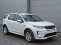 Land Rover Discovery Sport P200 Aut. AWD R-Dynamic S 5d 7pl /€13.800 netto Weiß - thumbnail 1
