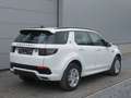 Land Rover Discovery Sport P200 Aut. AWD R-Dynamic S 5d 7pl /€13.800 netto Weiß - thumbnail 3
