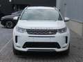 Land Rover Discovery Sport P200 Aut. AWD R-Dynamic S 5d 7pl /€13.800 netto Weiß - thumbnail 7