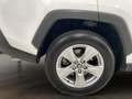 Toyota RAV 4 RAV4 RAV4 2.5l 220H Business 4WD Blanco - thumbnail 11