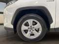 Toyota RAV 4 RAV4 RAV4 2.5l 220H Business 4WD Blanco - thumbnail 9