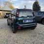 Fiat Panda PANDINA HYBRID 5 POSTI Verde - thumbnail 3