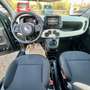 Fiat Panda PANDINA HYBRID 5 POSTI Verde - thumbnail 5